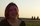 Photo of Aylin K.
