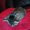Photo of Qype User (Becksb…)