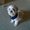 Photo of Vanh L.