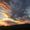 Photo of BlueSkies T.
