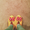Photo of Carissa L.