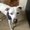 Photo of Lilah S.