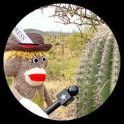 google avatar