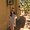 Photo of Seraphina T.