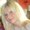 Photo of Stacy H.