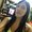 Photo of Fernanda C.