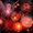 Photo of Maenad W.
