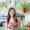 Photo of PJ D.