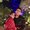 Photo of Sahil S.