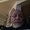 Photo of Ed M.