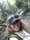 Photo of Liz A.