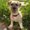 Photo of Sharing M.