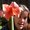 Photo of Heather M.