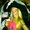 Photo of Kayla L.