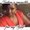 Photo of Lavonda S.