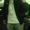 Photo of Chris D.