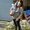 Photo of Kaeli G.