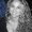 Photo of Melisa J.