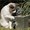 Photo of Qype User (marie5…)