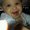 Photo of Roxann B.