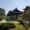 Photo of Yen K.
