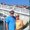 Photo of Geri C.