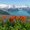 Photo of Pam L.