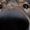 Photo of Qype User (-zaube…)