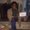 Photo of Alisha A.