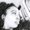 Photo of Adriane R.
