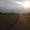 Photo of M F.