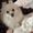 Photo of Tiffy B.