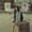 Photo of Sheena T.