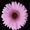 Photo of A F.