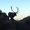 Photo of Sdoutfitters D.