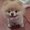 Photo of Chloe P.