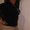 Photo of Chenelle R.