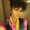 Photo of Syesha M.