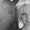Photo of Valorie M.