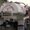 Photo of Trishna M.
