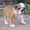 Photo of Qype User (marie3…)