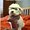 Photo of Gracie F.
