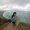 Photo of Cathy S.