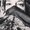 Photo of Jamie C.