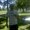 Photo of JOEL H.