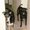 Photo of Kelly C.