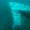 Photo of Underwater Diving Services S.