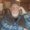 Photo of Tom S.