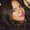 Photo of Dina M.