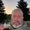 Photo of Greg H.